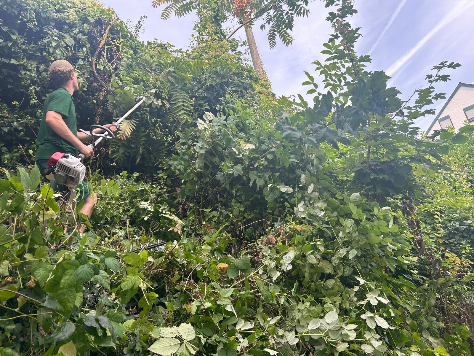 Gartenpflege – Beispiel 2